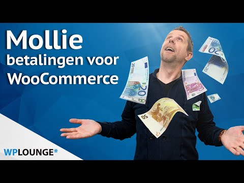 Mollie betaalmethoden instellen voor je WooCommerce webshop